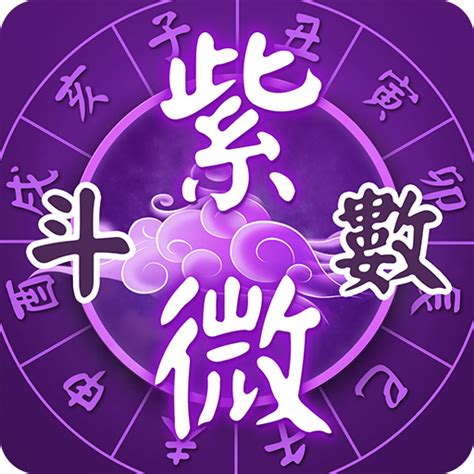 紫微麥|紫微斗數算命